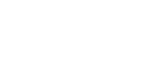 Fearless Bulls Site Top Logo