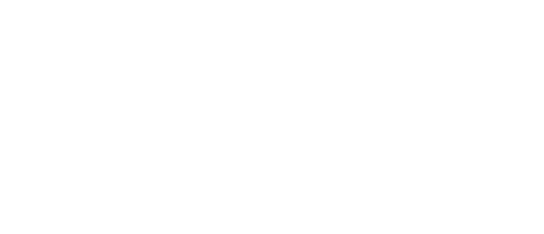 Fearless Bulls Site Top Logo